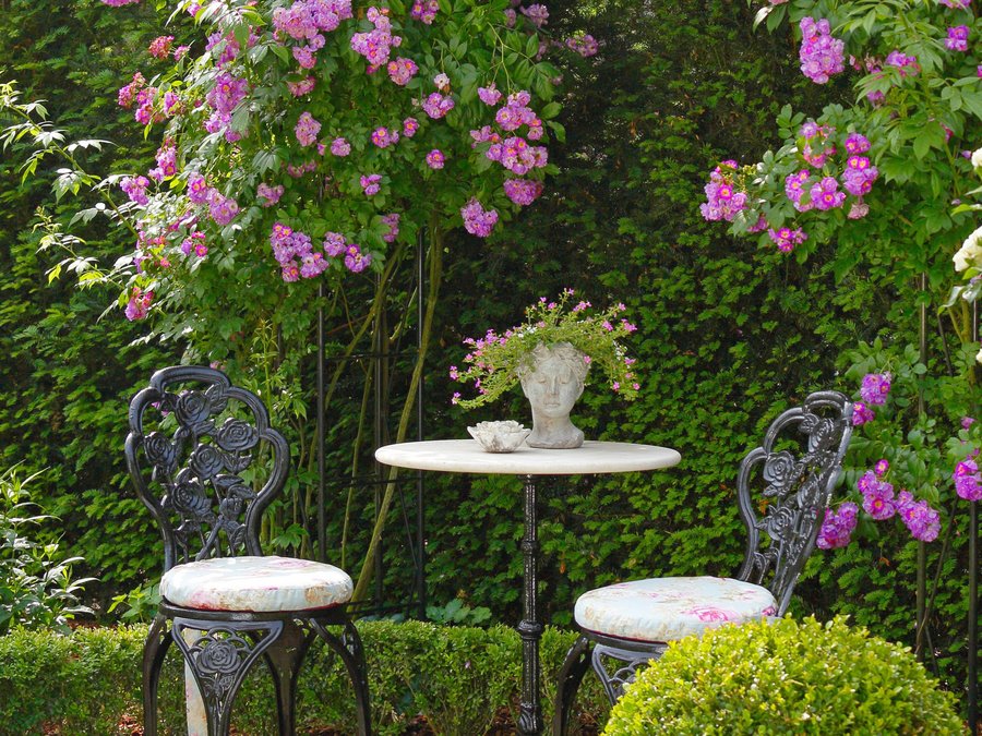 Rosen verschönern mit ihren prächtigen Blüten den Gartensommer. Foto: djd/www.rosen-tantau.com/Stefan Schulze